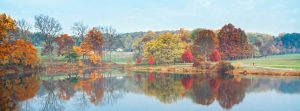 NJ Local Guide
